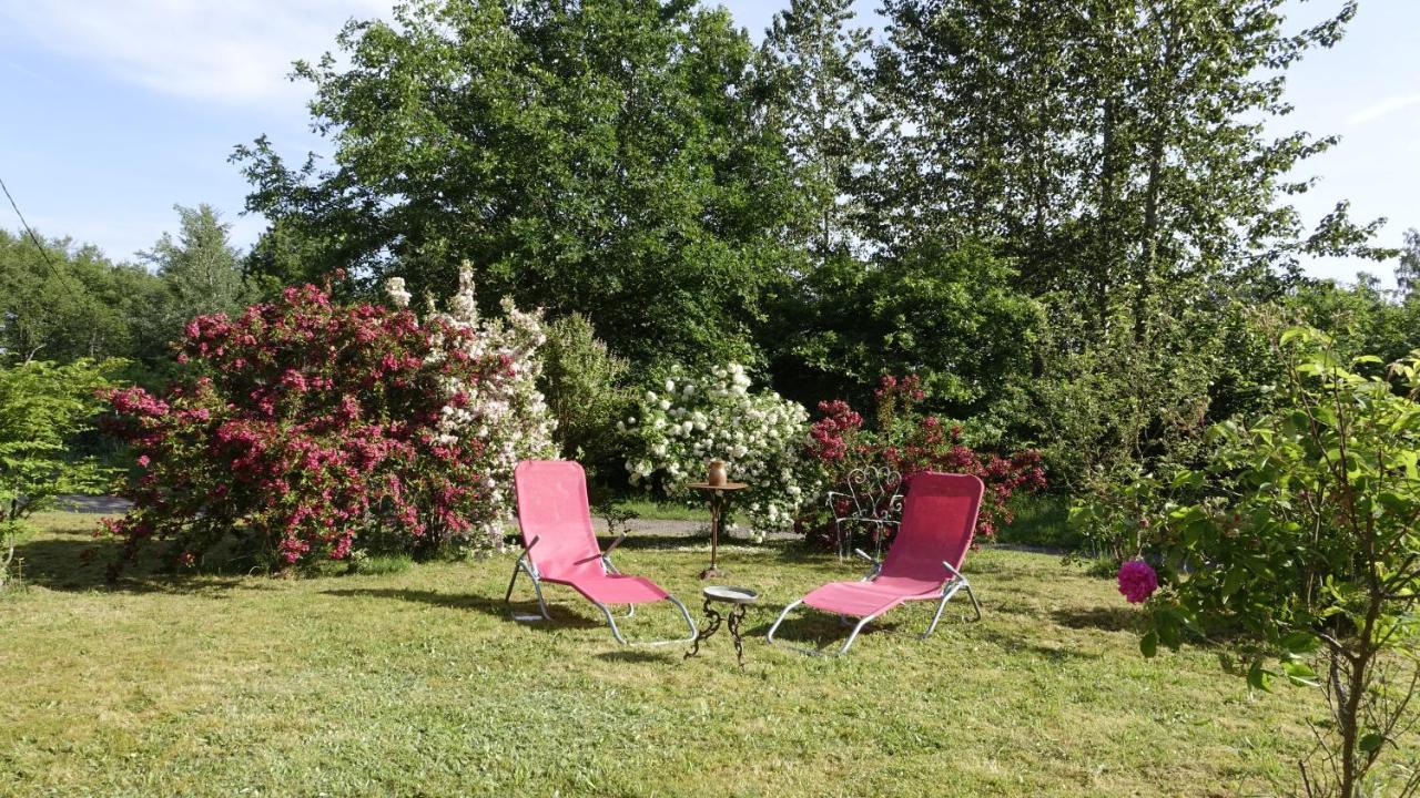 Le Jolis Bois Bed & Breakfast Raon-lʼÉtape Exterior foto