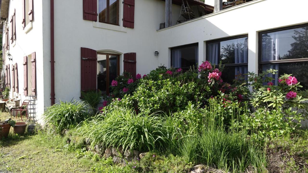 Le Jolis Bois Bed & Breakfast Raon-lʼÉtape Exterior foto
